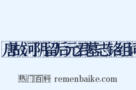 唐故河阴留后元君墓志铭组词是什么意思的图片